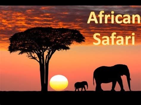 Embarking on a Magical Safari Journey: Discovering Africa's Wilderness